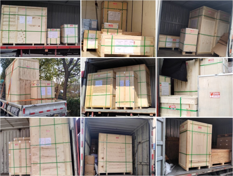 Envío global de fin de año enviado antes del Año Nuevo chino del Caballo