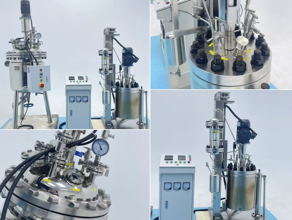 Reactor de alta presión 100L y 10L: Ganar el favor de los mercados de Alemania y los EAU con excelente calidad