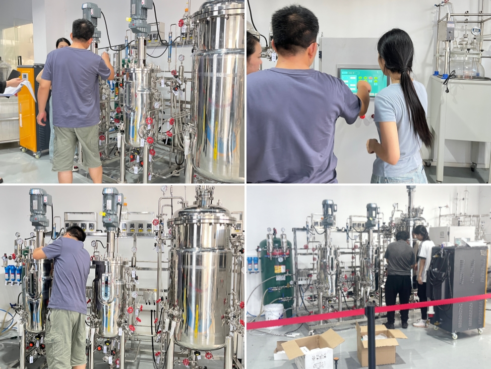 prueba de biorreactor